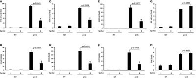 SARS-CoV-2 Spike Antagonizes Innate Antiviral Immunity by Targeting Interferon Regulatory Factor 3